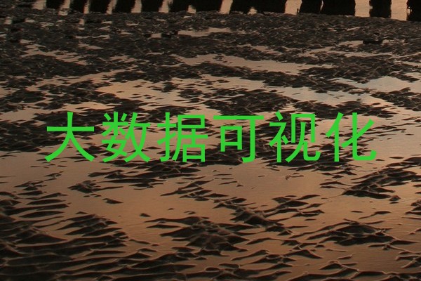 大数据可视化