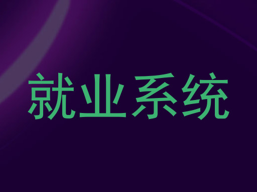 就业系统