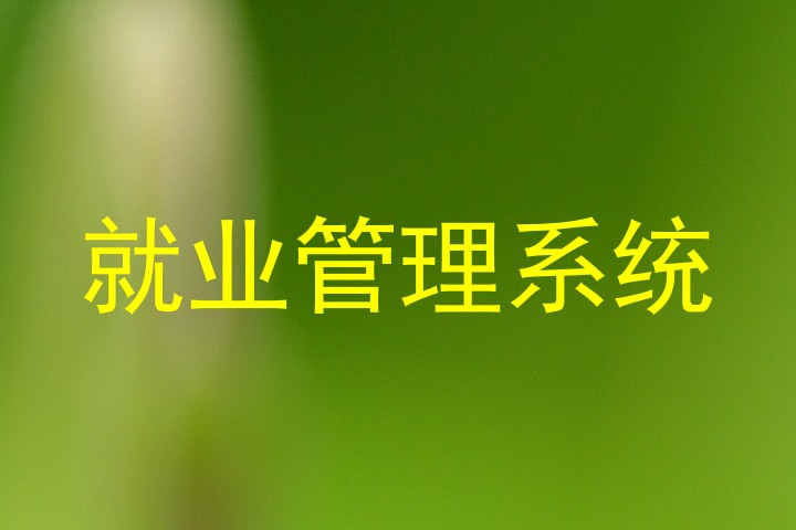 就业管理系统