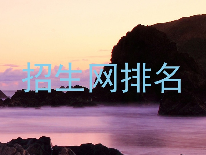 招生网排名
