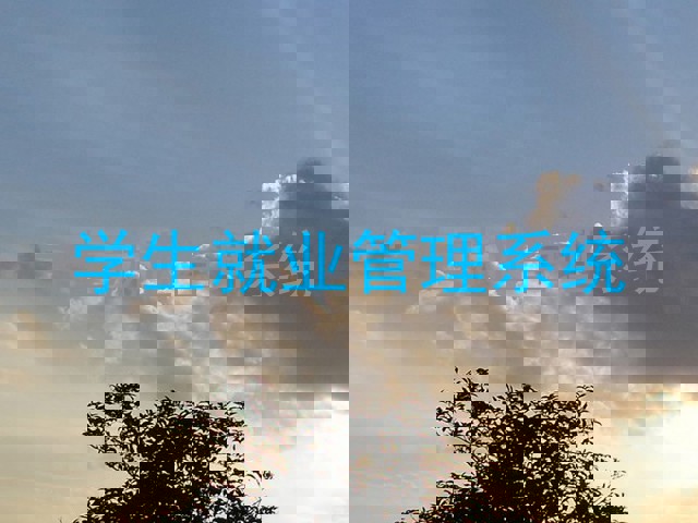 学生就业管理系统