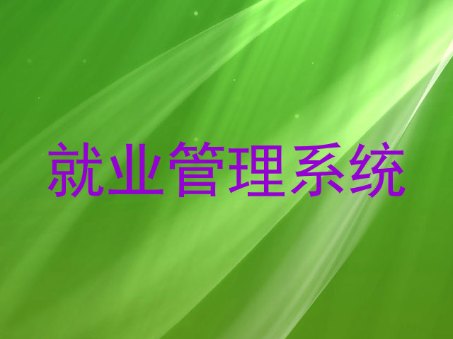 就业管理系统
