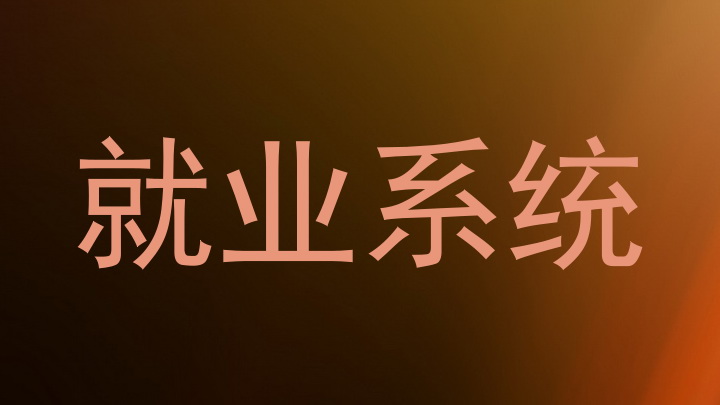 就业系统