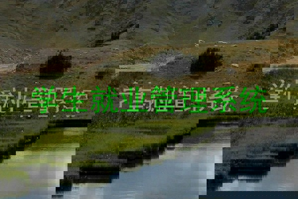 学生就业管理系统