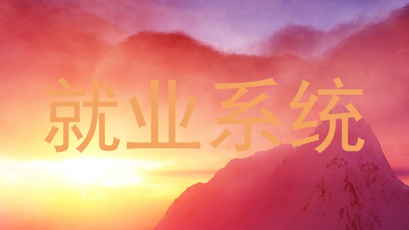 就业系统