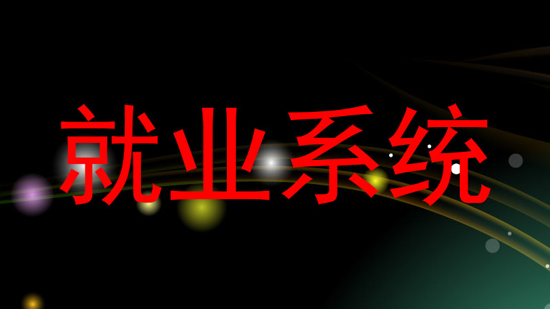 就业系统