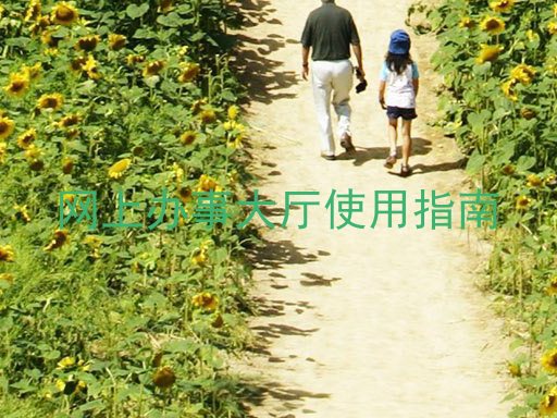 网上办事大厅使用指南