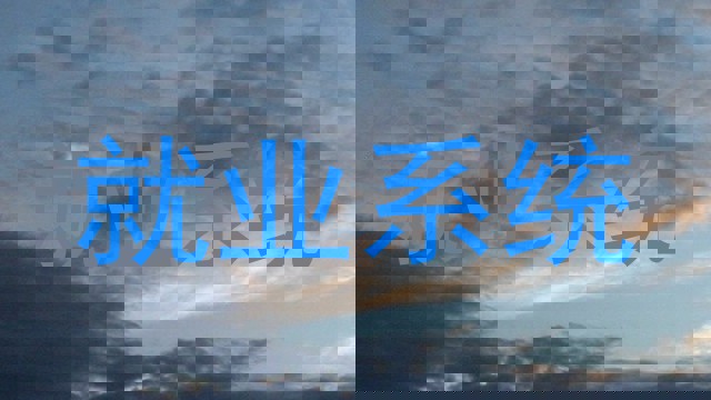 就业系统