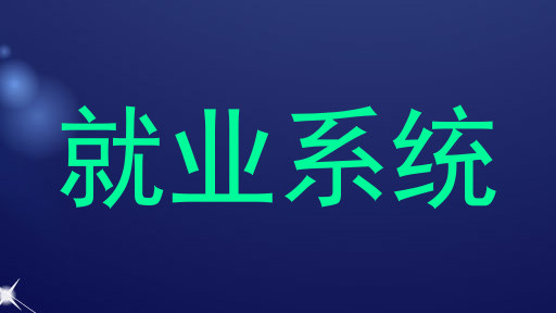 就业系统