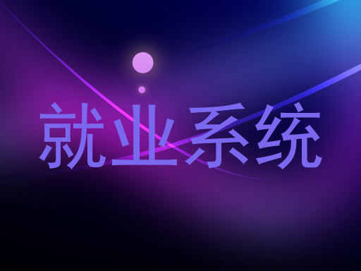 就业系统