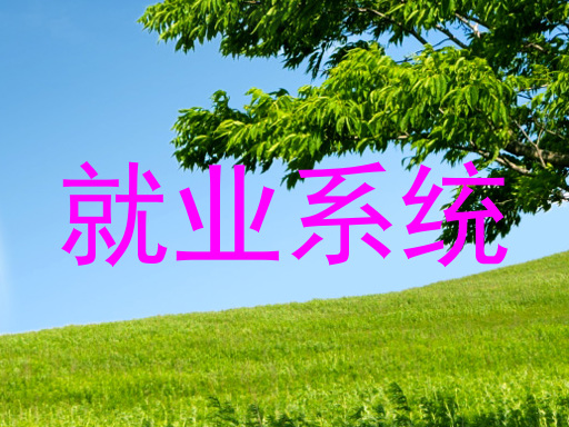 就业系统