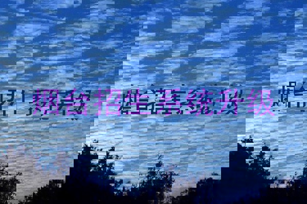 烟台招生系统升级