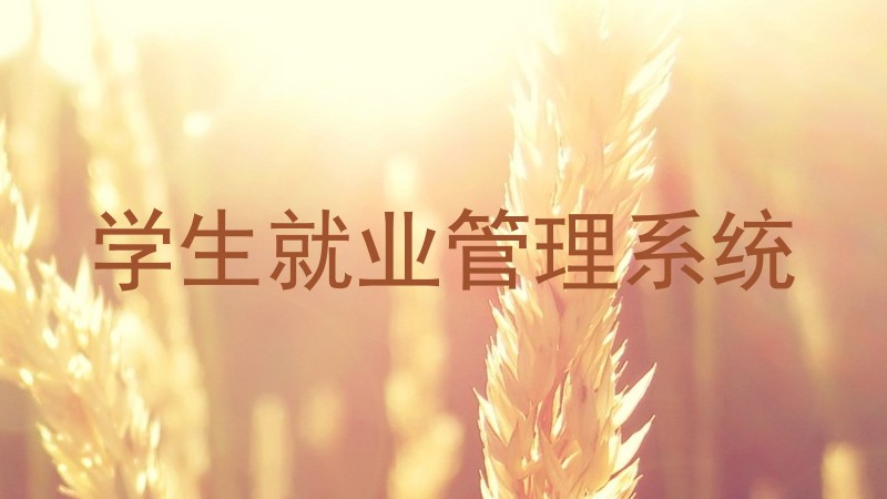 学生就业管理系统