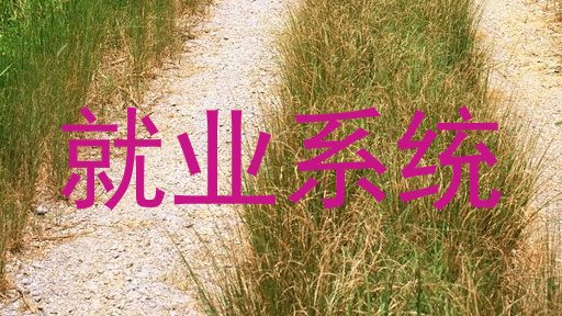 就业系统