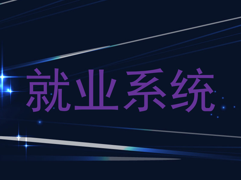 就业系统