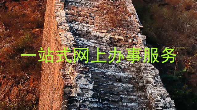一站式网上办事服务