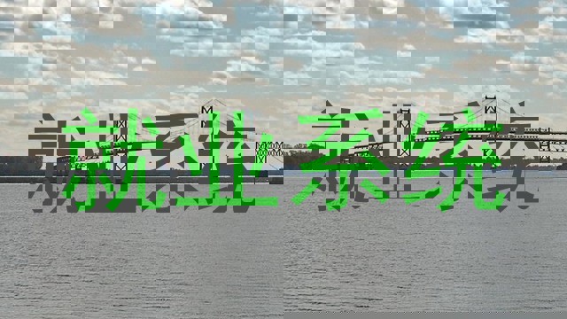 就业系统