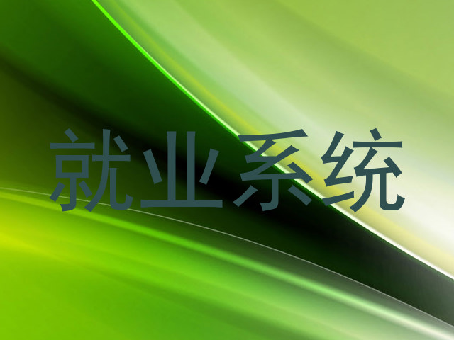 就业系统