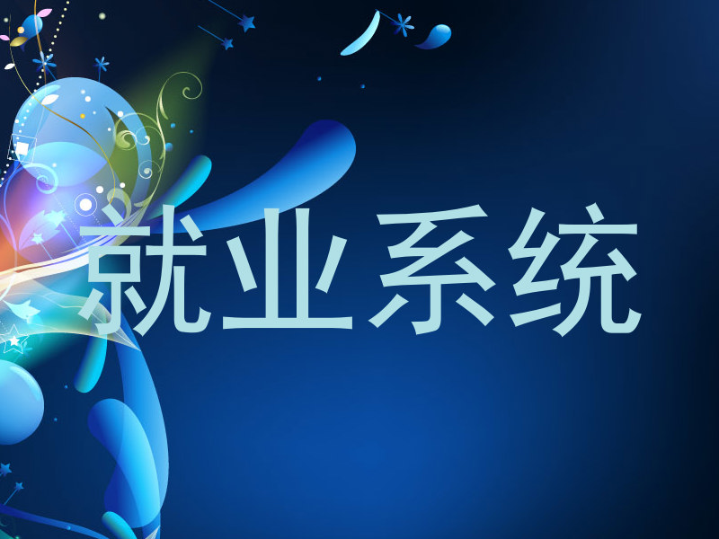 就业系统