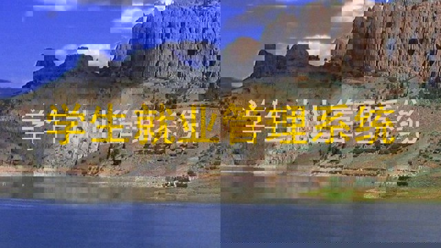 学生就业管理系统