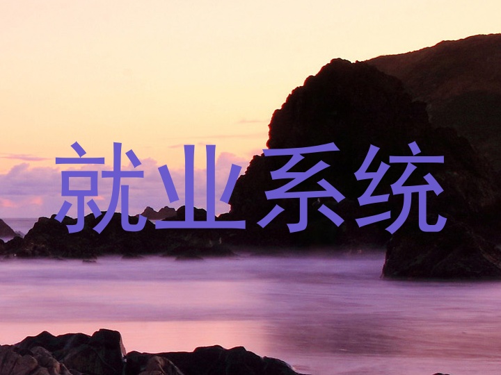 就业系统