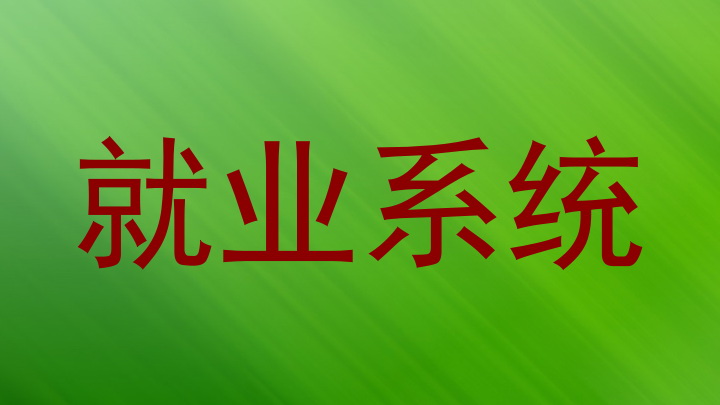 就业系统