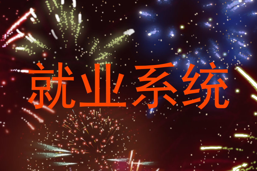就业系统