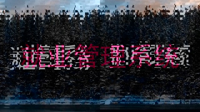就业管理系统