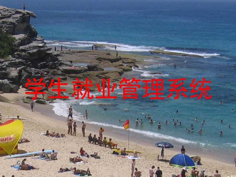 学生就业管理系统
