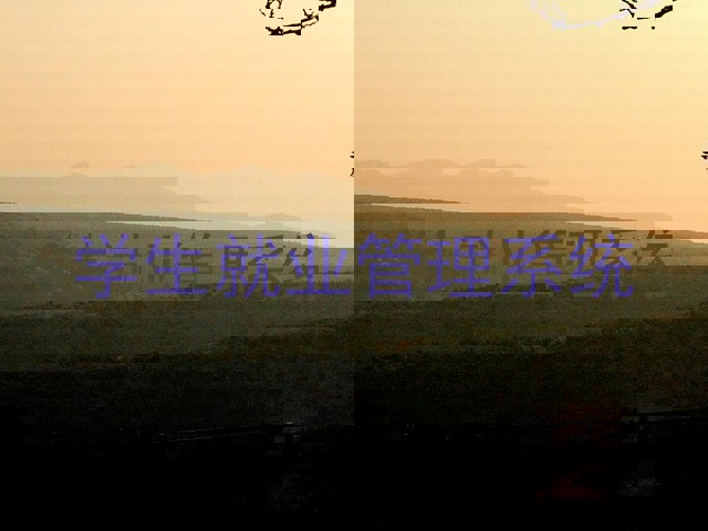 学生就业管理系统