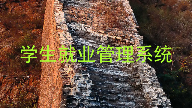 学生就业管理系统