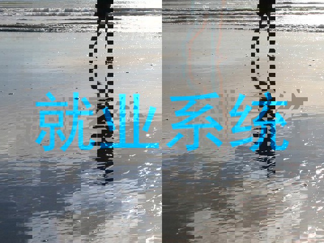 就业系统