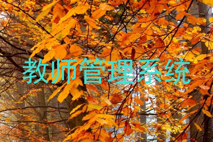 教师管理系统
