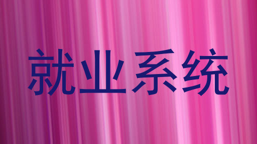 就业系统