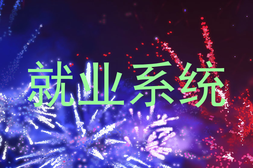 就业系统