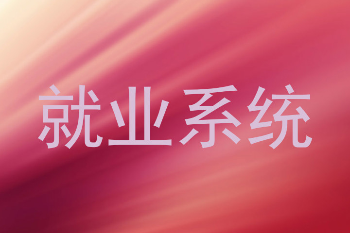 就业系统