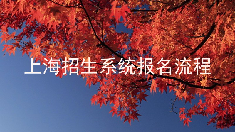 上海招生系统报名流程