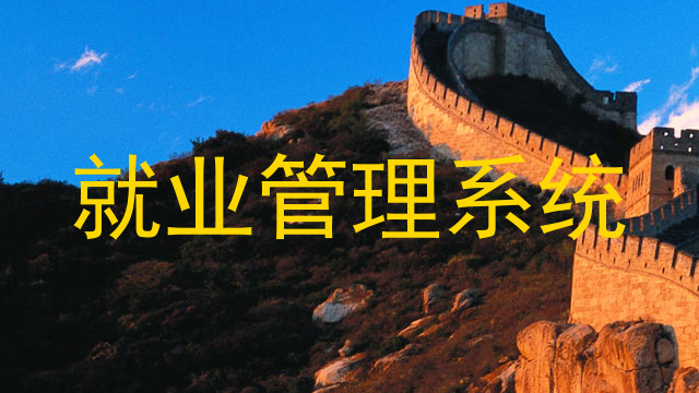 就业管理系统