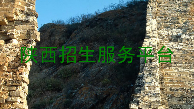 陕西招生服务平台