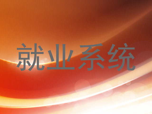 就业系统
