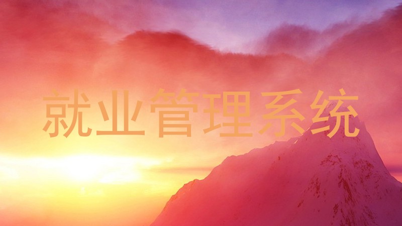 就业管理系统