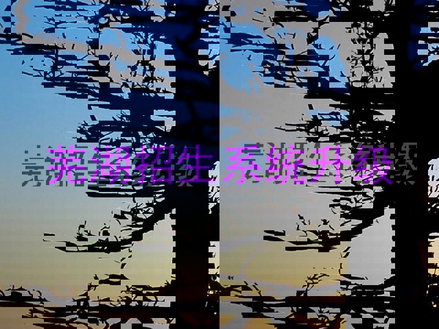 芜湖招生系统升级