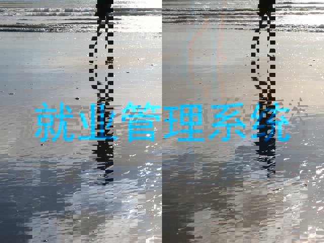 就业管理系统
