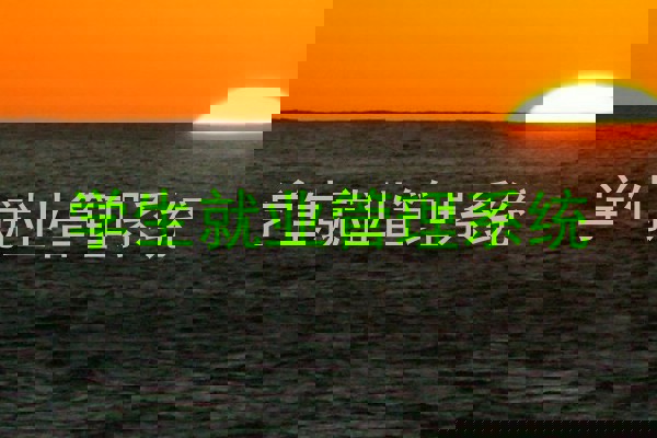 学生就业管理系统