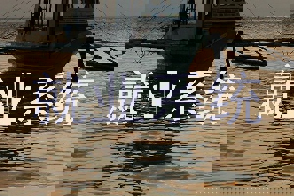 就业系统