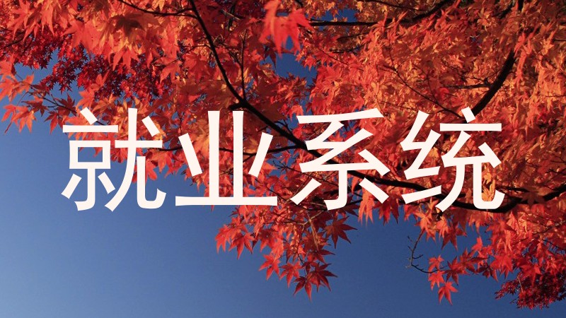 就业系统