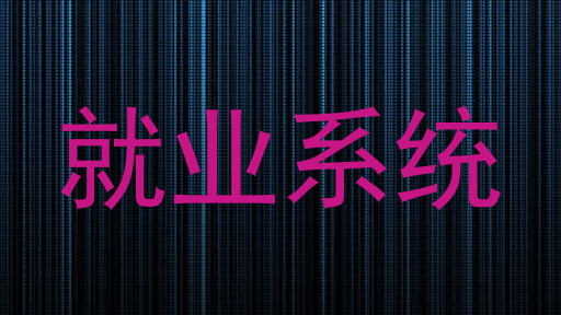就业系统