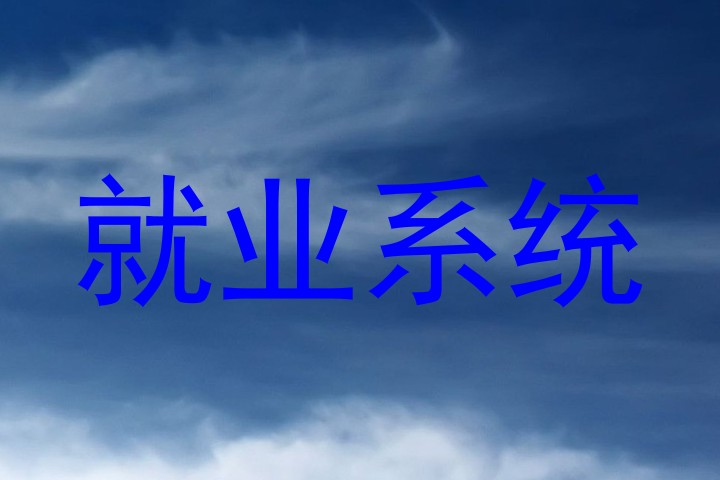 就业系统