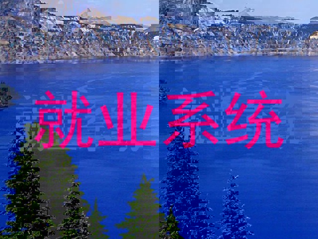 就业系统
