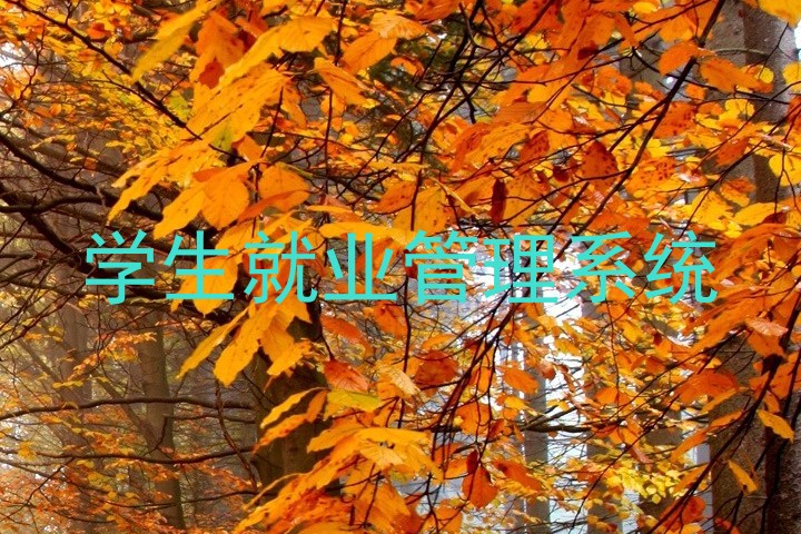 学生就业管理系统